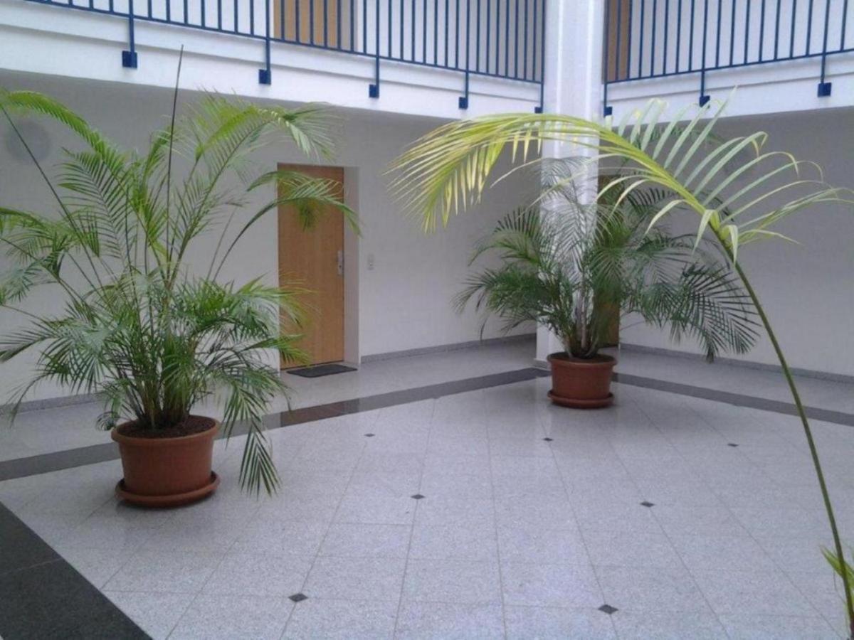 Residenz Am Strand Wohnung 2-43 Zingst Zewnętrze zdjęcie